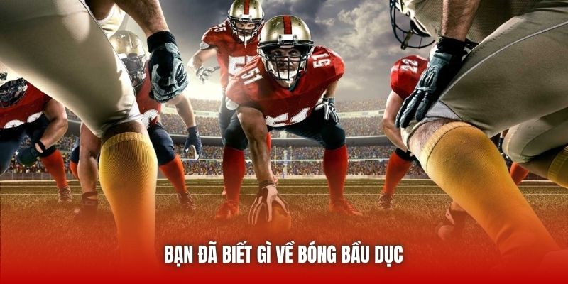Bạn đã biết gì về bóng bầu dục 