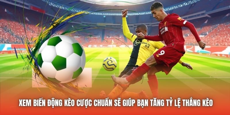 Xem biến động kèo cược chuẩn sẽ giúp bạn tăng tỷ lệ thắng kèo