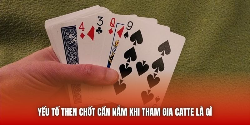 Yếu tố then chốt cần nắm khi tham gia Catte là gì