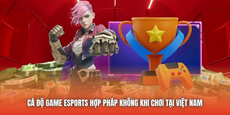 Cá độ game Esports hợp pháp không khi chơi tại Việt Nam