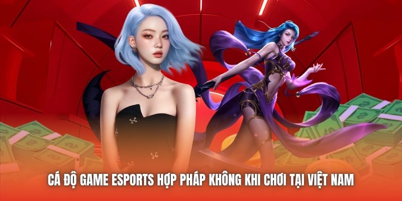 Làm rõ thắc mắc cá độ game Esports hợp pháp không